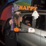Halloween Drive Thru 2020 -Beginnings